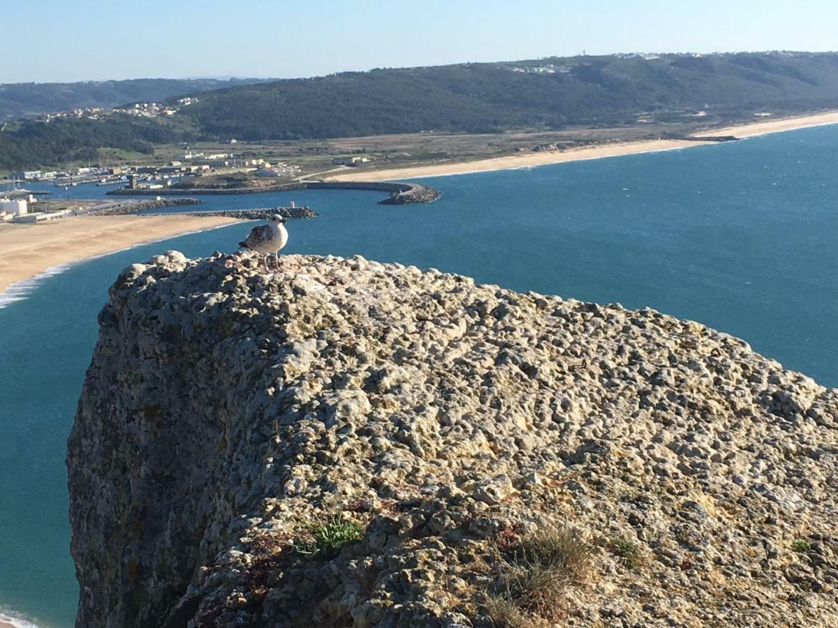 Sitio Ocean Views Apartment Nazare Luaran gambar